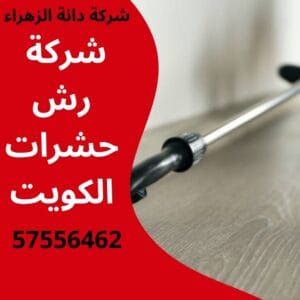 رش حشرات الكويت