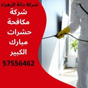 مكافحة حشرات مبارك الكبير