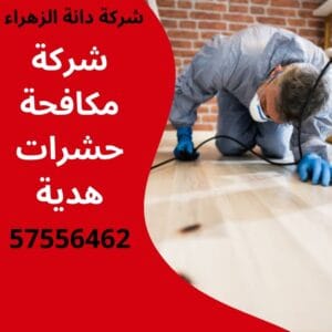 مكافحة حشرات هدية