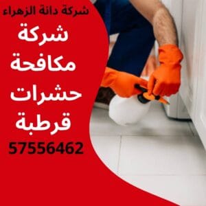 مكافحة حشرات قرطبة