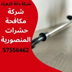 مكافحة حشرات المنصورية