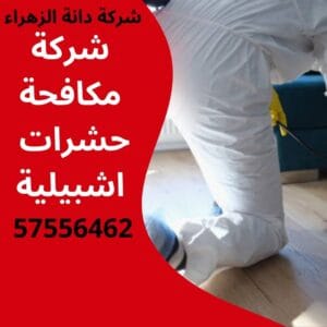 مكافحة حشرات اشبيلية